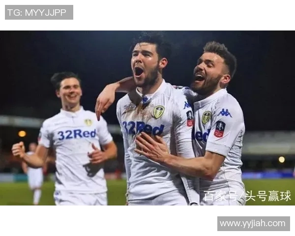 伯明翰与利兹联精彩对决录像回放分析及赛后点评