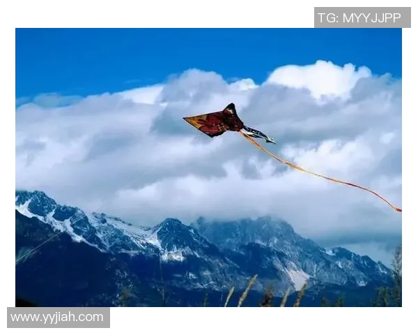 今天中济海公园足球比赛精彩直播全程回顾与精彩瞬间分享