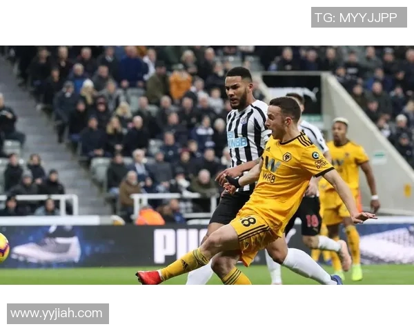 诺维奇与埃弗顿激战正酣比分揭晓精彩瞬间回顾